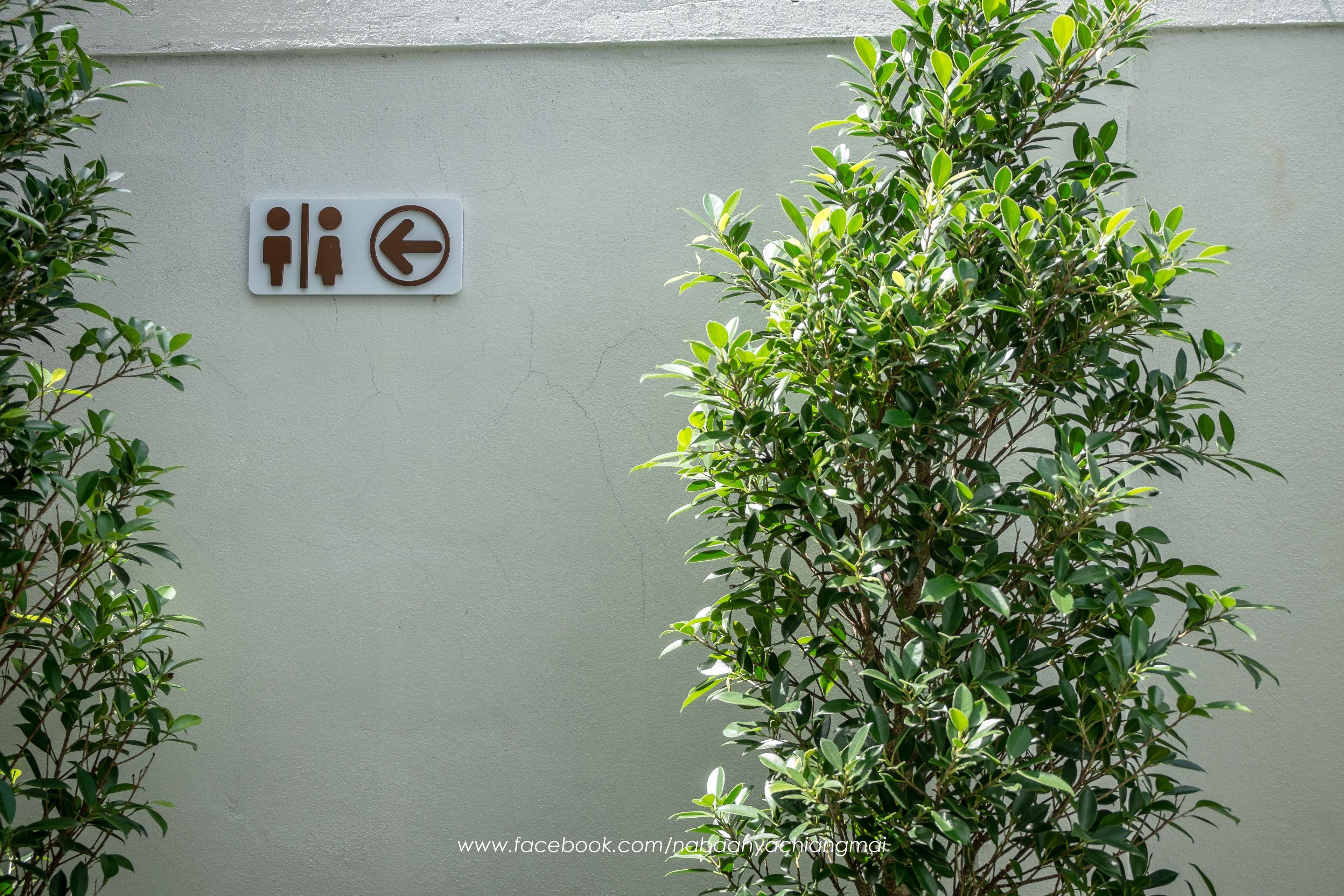 Na Baanya Chiang Mai — Photos 1